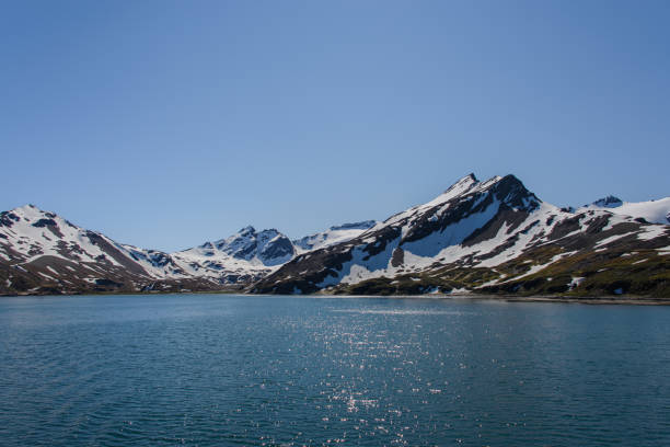 istock South Georgia landscape 915380370