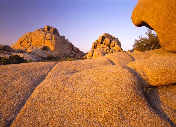 istock Southwest desert USA  at Joshua Tree National Park, CA 915380530