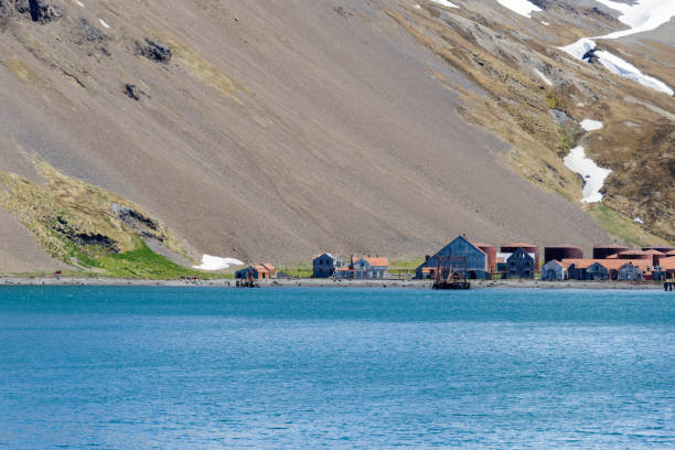 istock Old whaling station on South Georgia 915380552