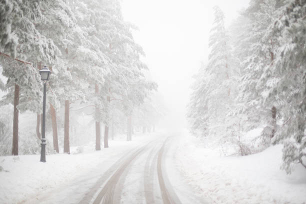istock trees with snow in the mountains of Madrid 915380694