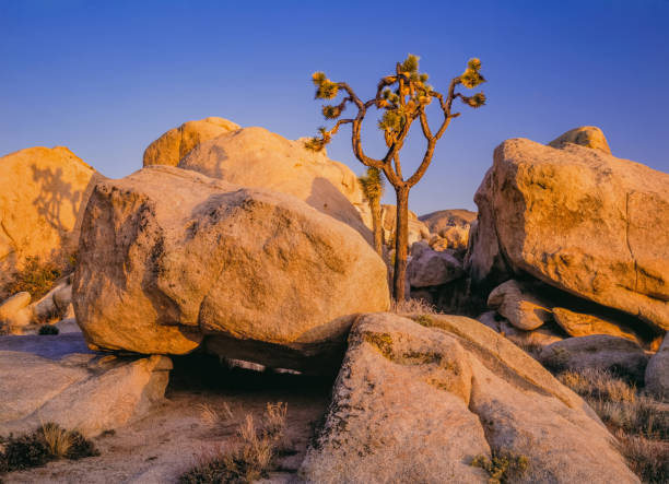 Extreme red rock formations; strange looking; desert getaway; remote outing