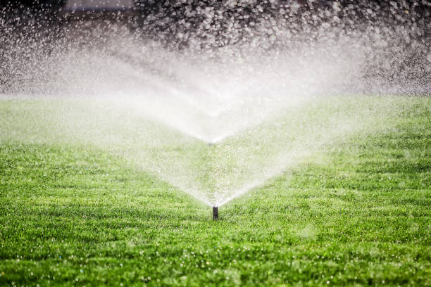 istock Sprinkler on the grass field 915380926