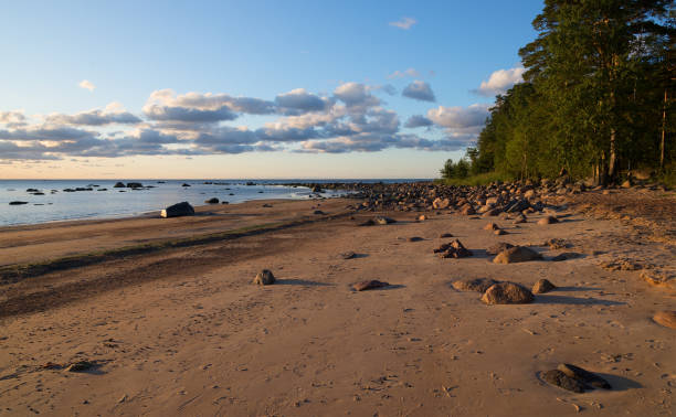 istock Beach sunset is golden sky with a wave rolling to shore 915383448