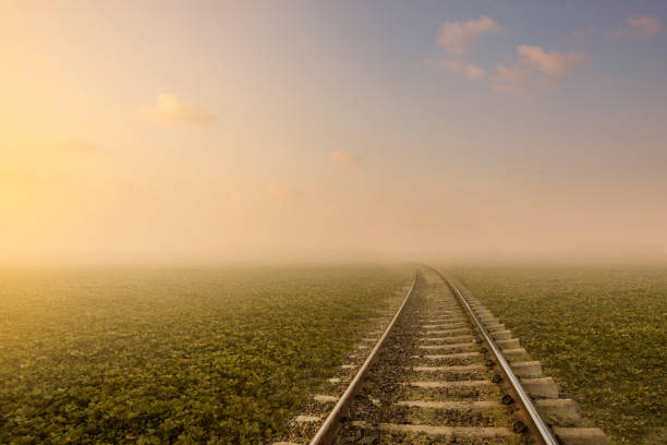 Railroad through the green field and forest