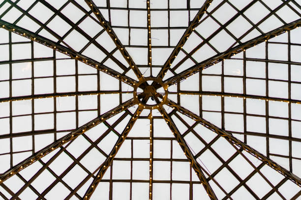 istock Glass dome with metal frame, armature. Graphic texture for modern Background 915387968