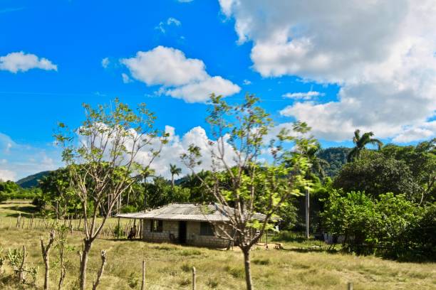 istock COUNTRY HOUSE TRINIDAD 915388912