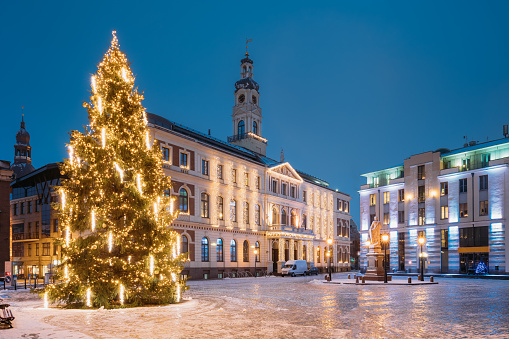 Riga, Latvia. Xmas Christmas Tree In Town Hall Square At Evening In Night Illuminations Lights. Famous Place At Winter New Year Holiday Evening