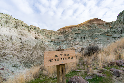 Located in the John Day Fossil Bed National Park, the Blue Basin features fossils that are 20 million years old