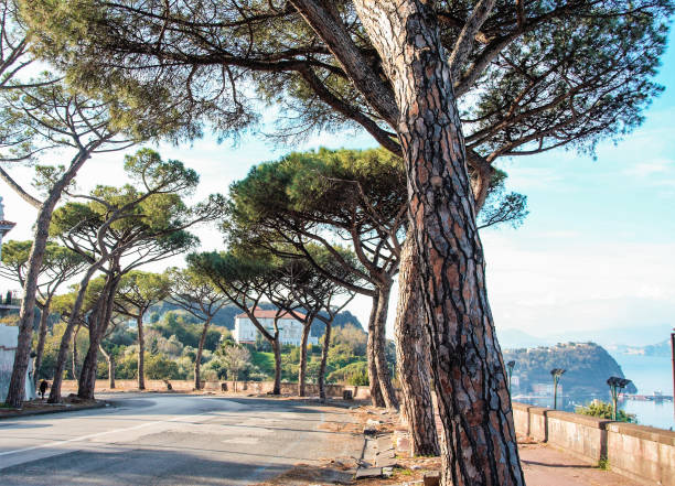 Beautiful street leading to the sea in Naples,