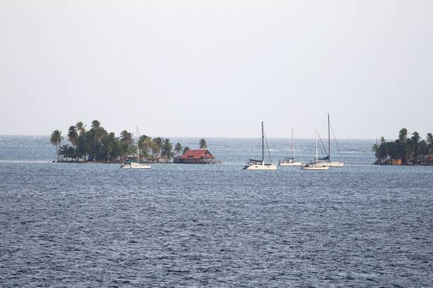 istock Sailboats Sailing In Sea Against Clear Sky 915414228