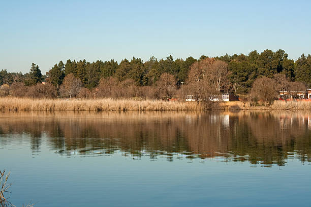 istock Autumn landscape of Modderfontein Lake 91542042