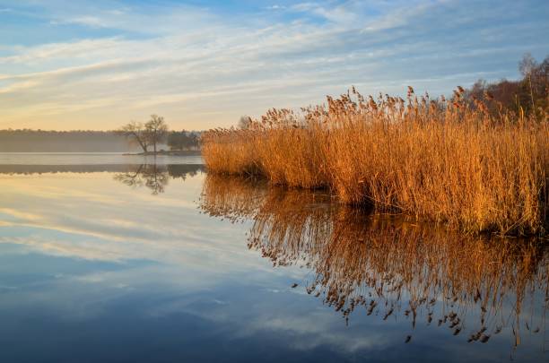 istock Beautiful morning landscape. 915424626