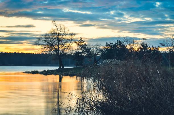 istock Beautiful morning landscape. 915424672