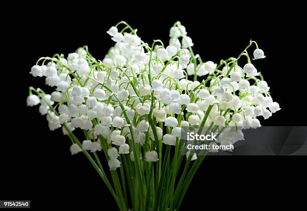 Lily Valley - zdjęcia stockowe i więcej obrazów Konwalia - Konwalia, Bukiet, Wiązanka kwiatów