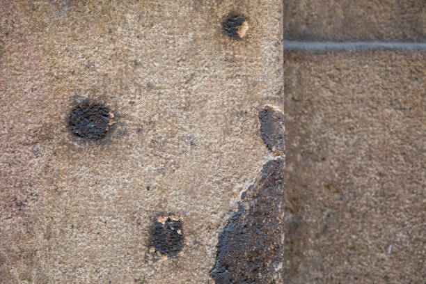 Damage Types Shrapnel 40+ Charles University Stock Photos, Pictures & Royalty-Free Images ...