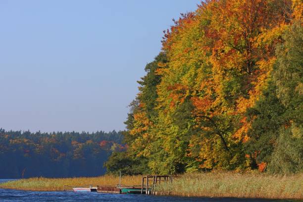 istock Trees By River Against Clear Sky During Autumn 915436198