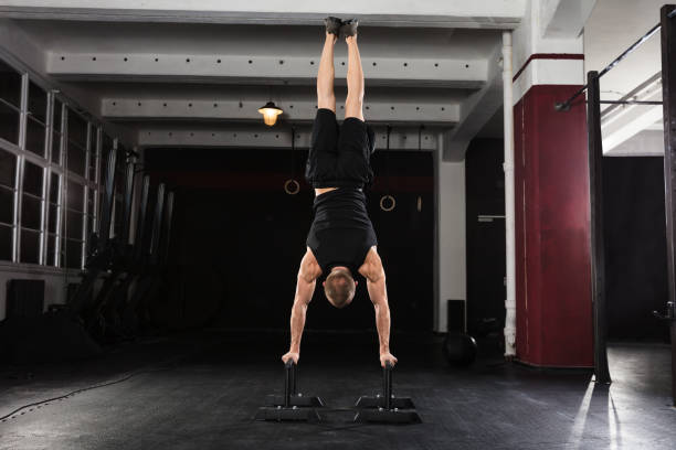 upper chest, muscle group