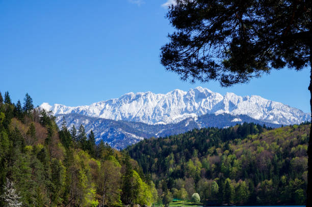 istock The Wilder Kaiser Alps viewed from a distance 915448008