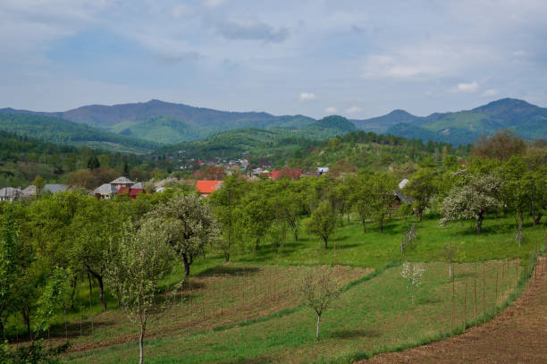istock Scene from Rural Romania 915448866