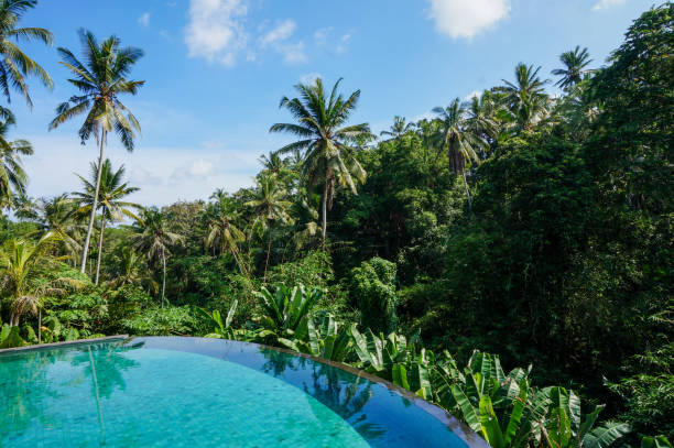 beautiful pool with junge views in ubud, bali - junge imagens e fotografias de stock