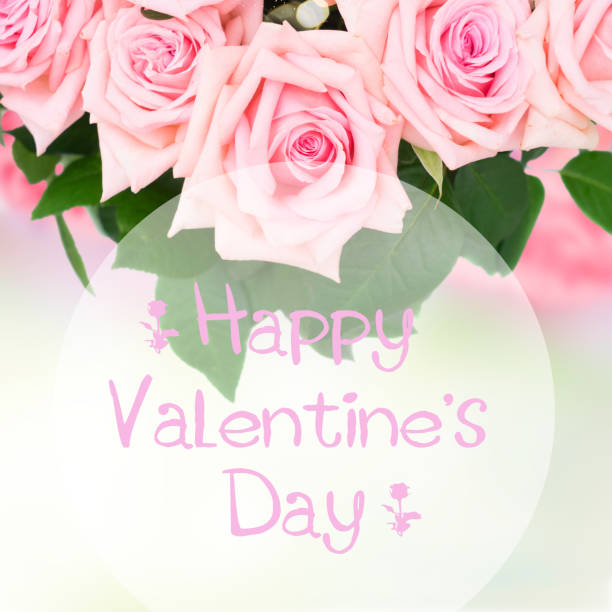 istock Pink blooming roses 915448910