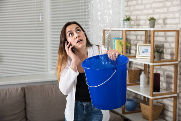 Woman Calling Plumber For Water Leakage At Home Worried Woman Calling Plumber While Collecting Water Droplets Leaking From Ceiling At Home ceiling stock pictures, royalty-free photos & images