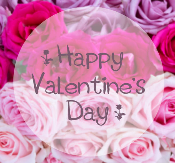 istock Violet and pink blooming roses 915455114