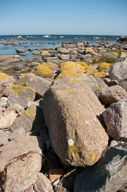 istock Coast of Bornholm 915460874