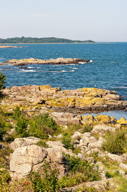 istock Rocky coast of Bornholm. 915461014
