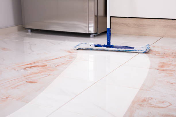 istock Mop In Kitchen Cleaning Dirty Floor 915461840