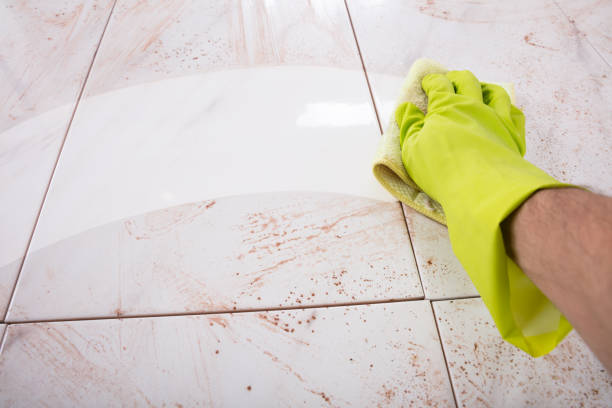 istock Hands In Rubber Gloves Scrubbing Kitchen 915461870
