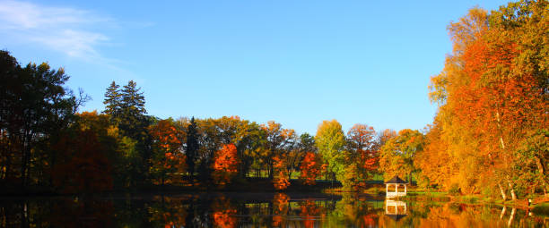 istock sunny autumn morning, colorful nature 915465674