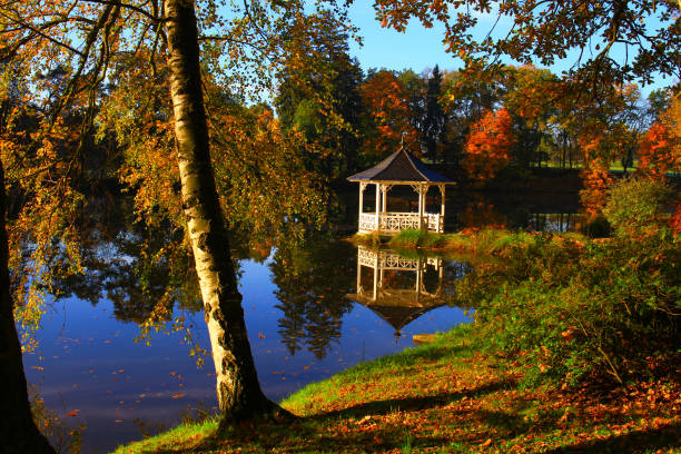istock sunny autumn morning, colorful nature 915465680