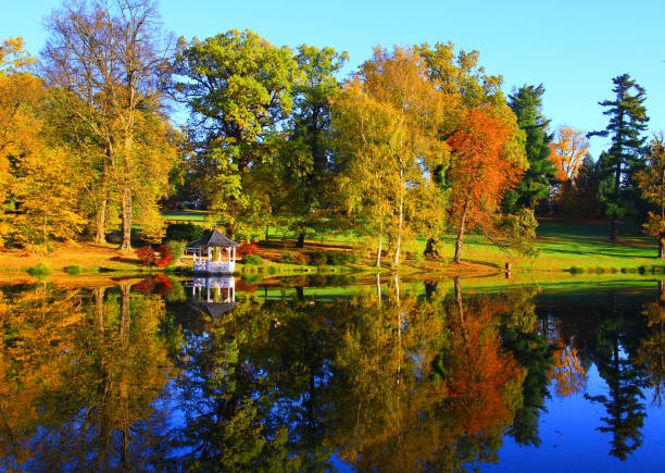 istock sunny autumn morning, colorful nature 915465712