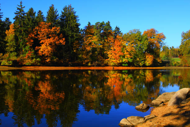 istock sunny autumn morning, colorful nature 915465722