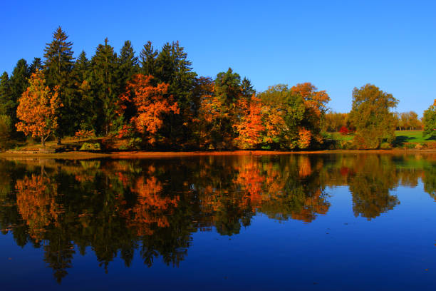 istock sunny autumn morning, colorful nature 915465738