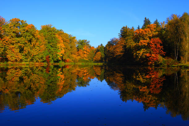 istock sunny autumn morning, colorful nature 915465744