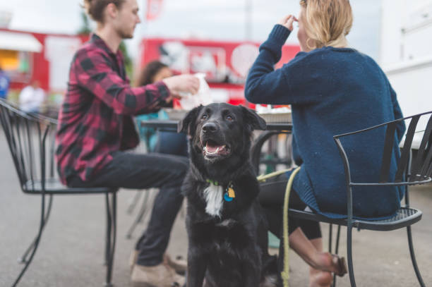istock Food Cart Customers 915473836