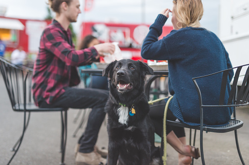 A young hipster couple enjoys lunch at an outdoor food cart. Their dog sits patiently by their chairs and stands guard while they eat.