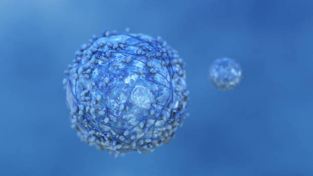 istock Pancreatic cancer cell 915475944