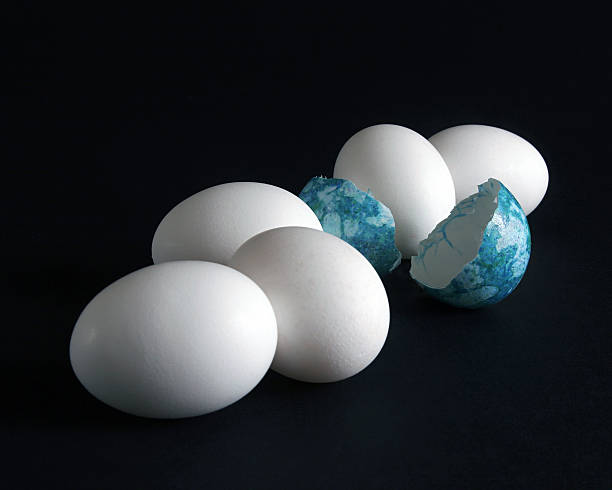 Eggs - one different 2 stock photo