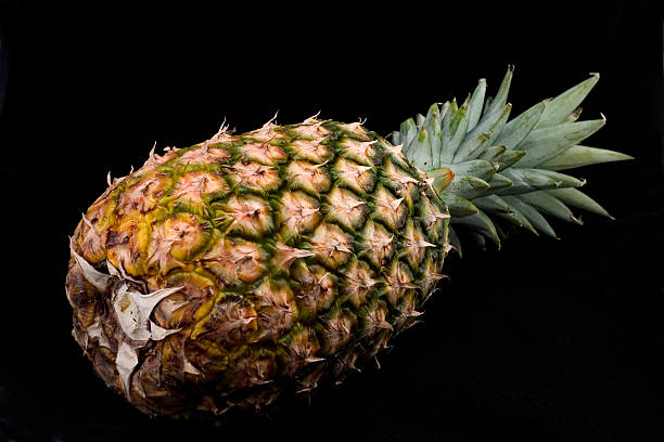 ananás - healthy eating profile tropical fruit fruit imagens e fotografias de stock