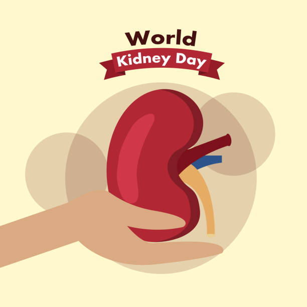 istock hand holding kidney day awareness health 915495002