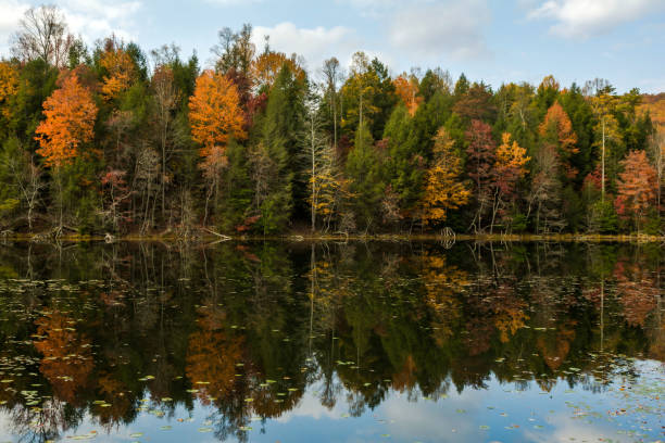 istock Autumn Color at Bays Mountain Lake 915511046