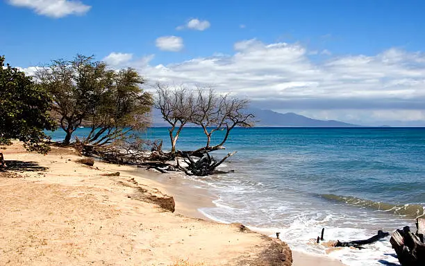 Gorgeous desert beach on the west shore of Maui.  On the horizon, you see the south shore of Maui.  Let's go!