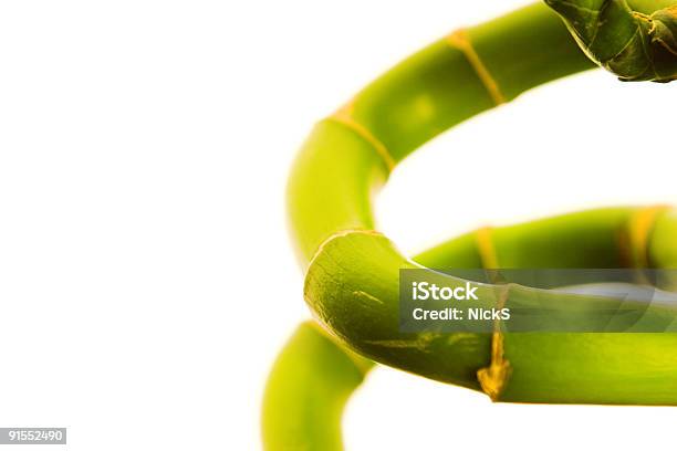 Wachstumbambus Stockfoto und mehr Bilder von Abstrakt - Abstrakt, Bambus - Graspflanze, Bildhintergrund