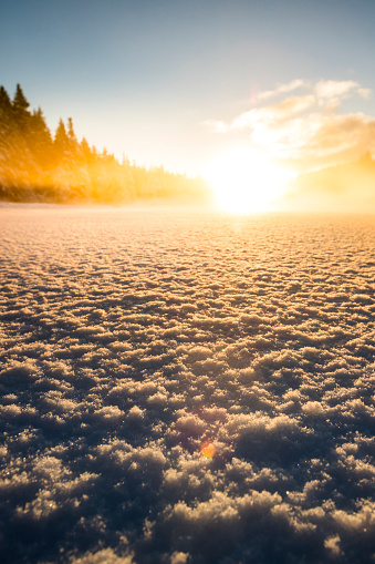 Dreamy early morning snowscape with warm sunlight and pine forest.