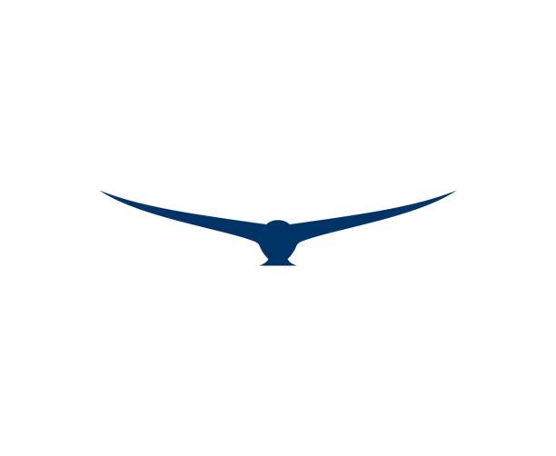 Bird icon This illustration/vector you can use for any purpose related to your business. falcon bird stock illustrations