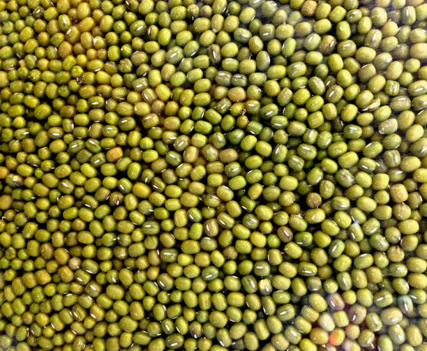 緑豆の背景で引けた - pigeon pea” ストックフォトと画像