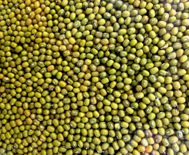 Closed up mung beans background stock photo